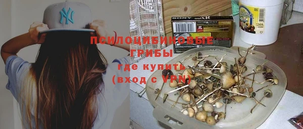a pvp Новочеркасск