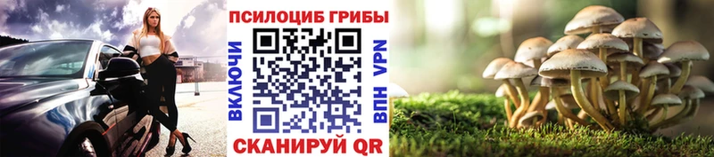 Псилоцибиновые грибы Magic Shrooms Разумное
